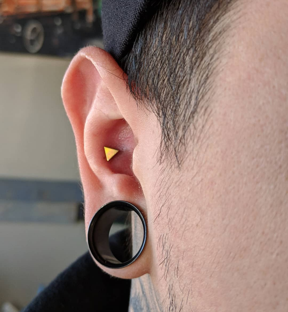 Conch (Single)