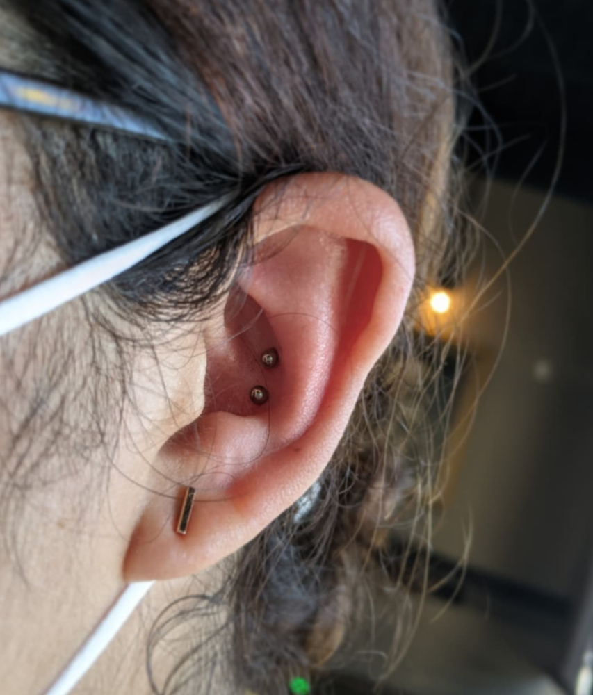 Conch (Double)