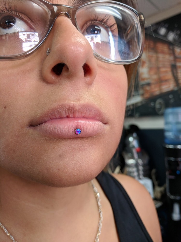 Inverse Vertical Labret (Ashley)