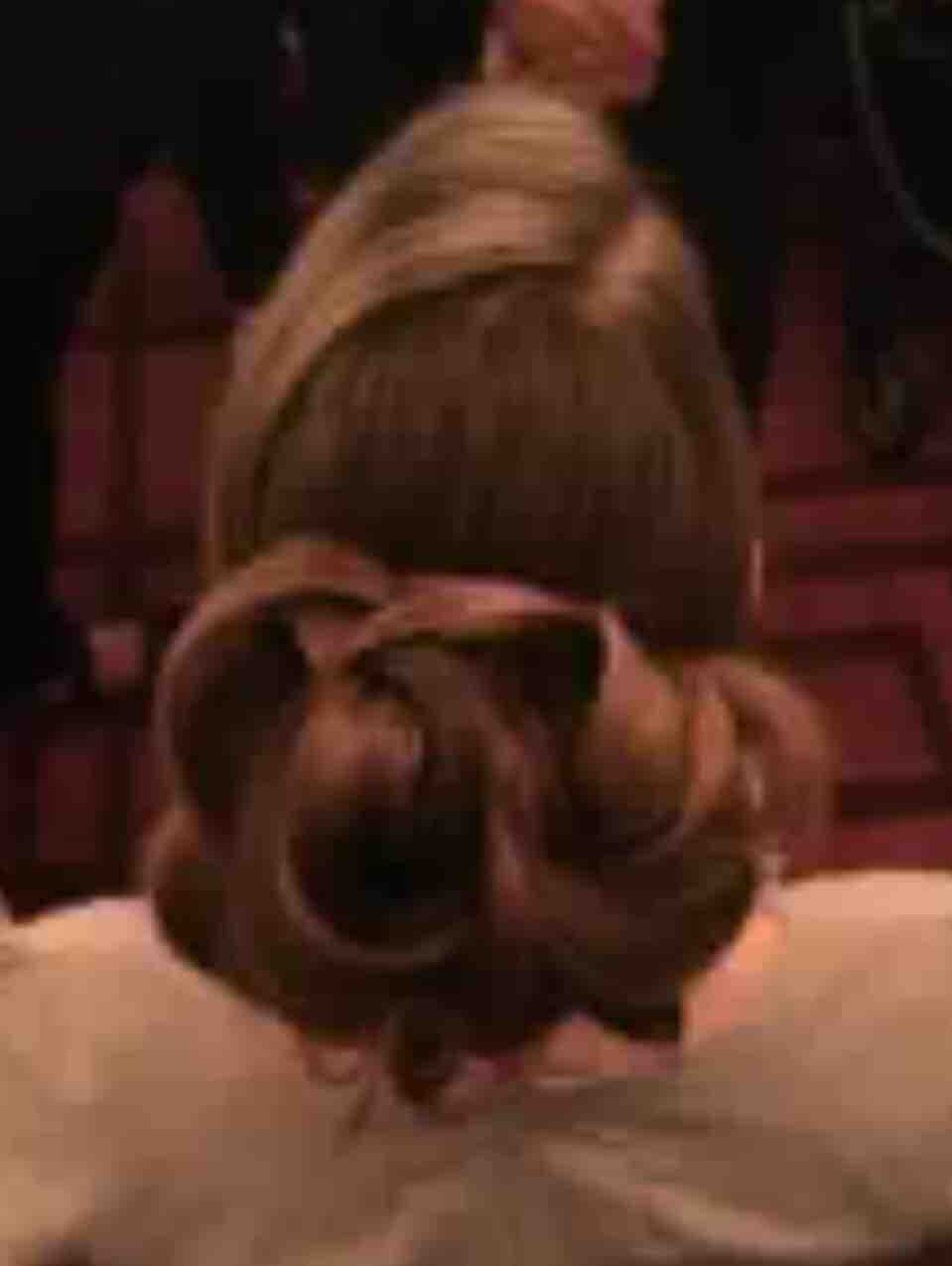 Updo / Special Occasions