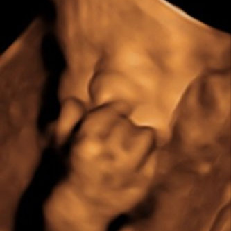 Sneak Peek Color 3D / 4D