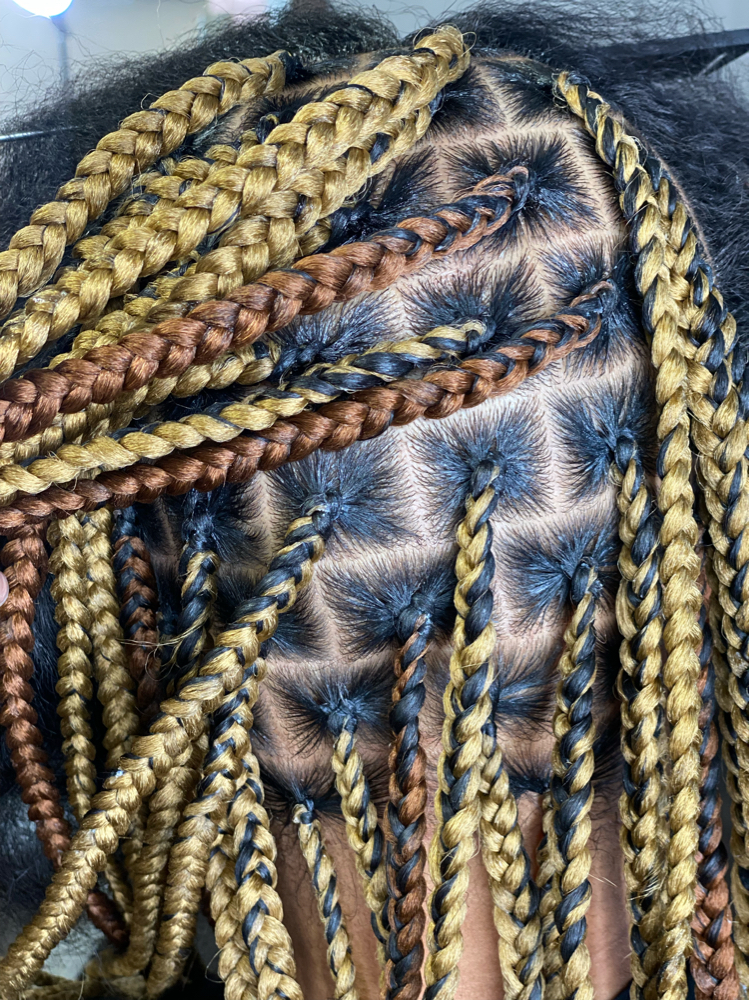 Knotless Box Braids