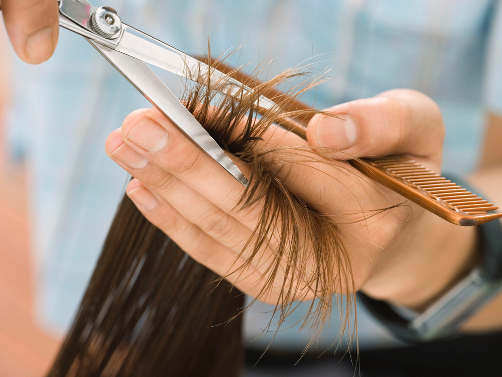 Womens Haircut (L)