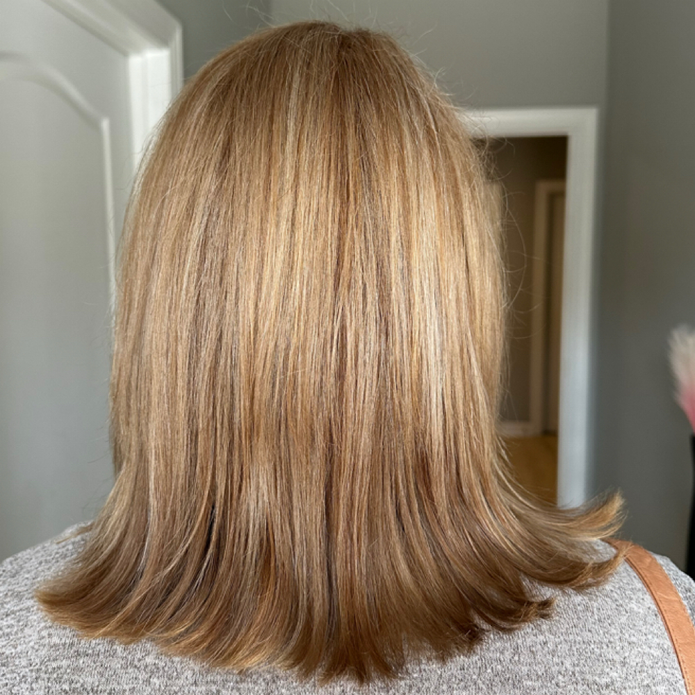 Partial Highlight & Lowlight at Skye’s the Limit Hair in Asheboro, NC