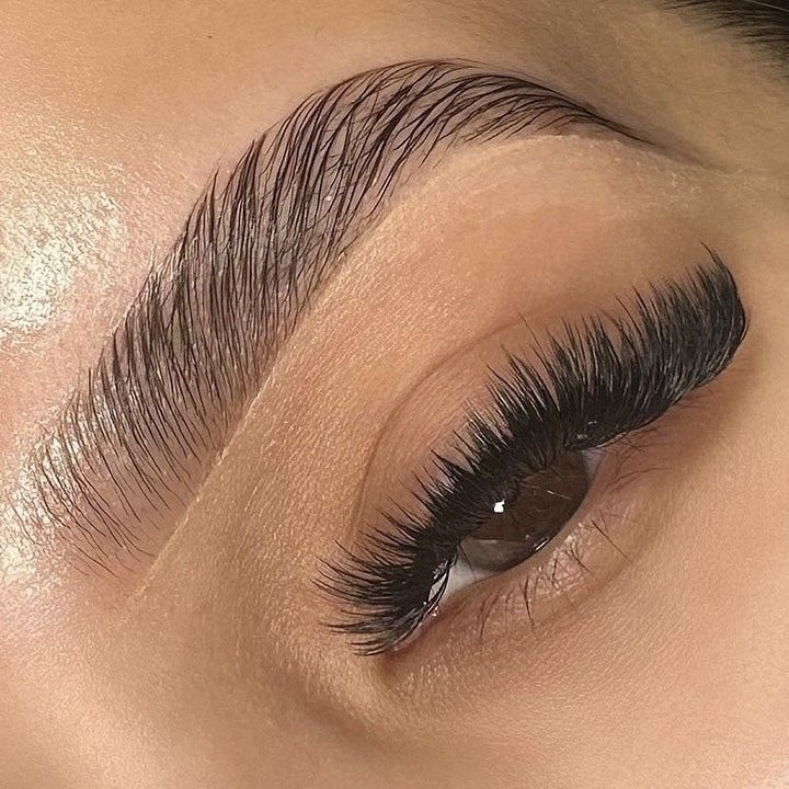 Lash / Brow Model at Mo Skin Beauty in Tampa, FL