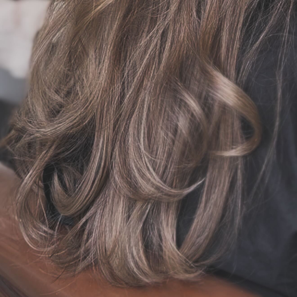 Shampoo, Cut, & Style