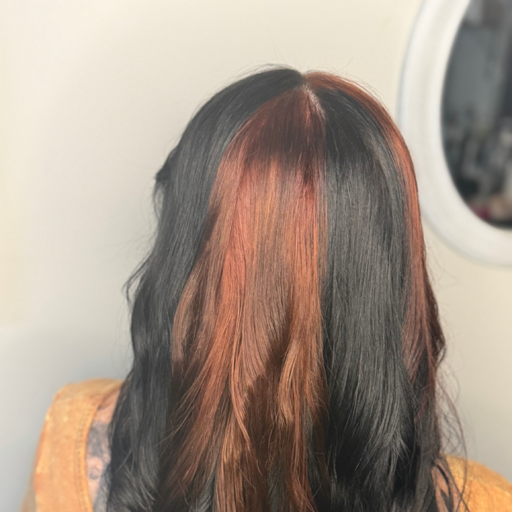 Creative Color Placement at Endora Beauty Salon LLC. in Panama City, FL
