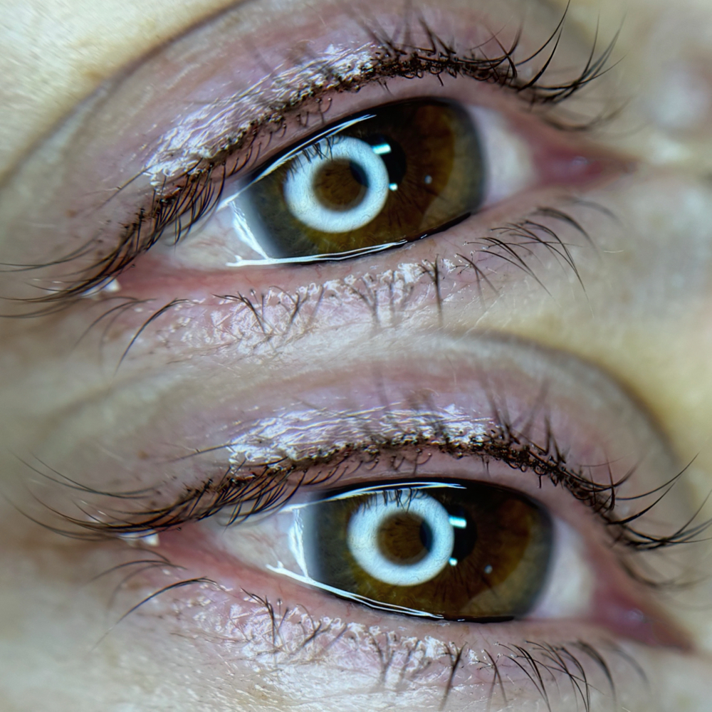 Lash Line Enhancement at Vixxen Cosmetic Tattoos in Roseville, CA