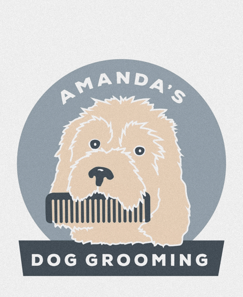 WALK IN EAR CLEANING at Amanda’s Dog Grooming in Syracuse, NY