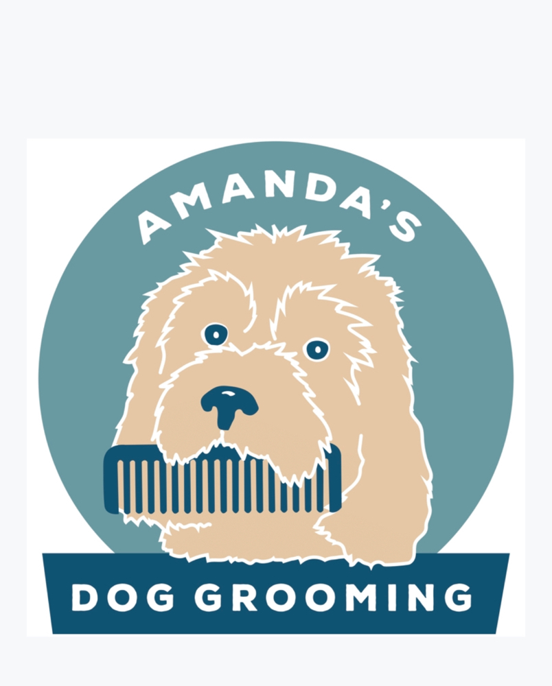 Long Haired Breed Bath at Amanda’s Dog Grooming in Syracuse, NY