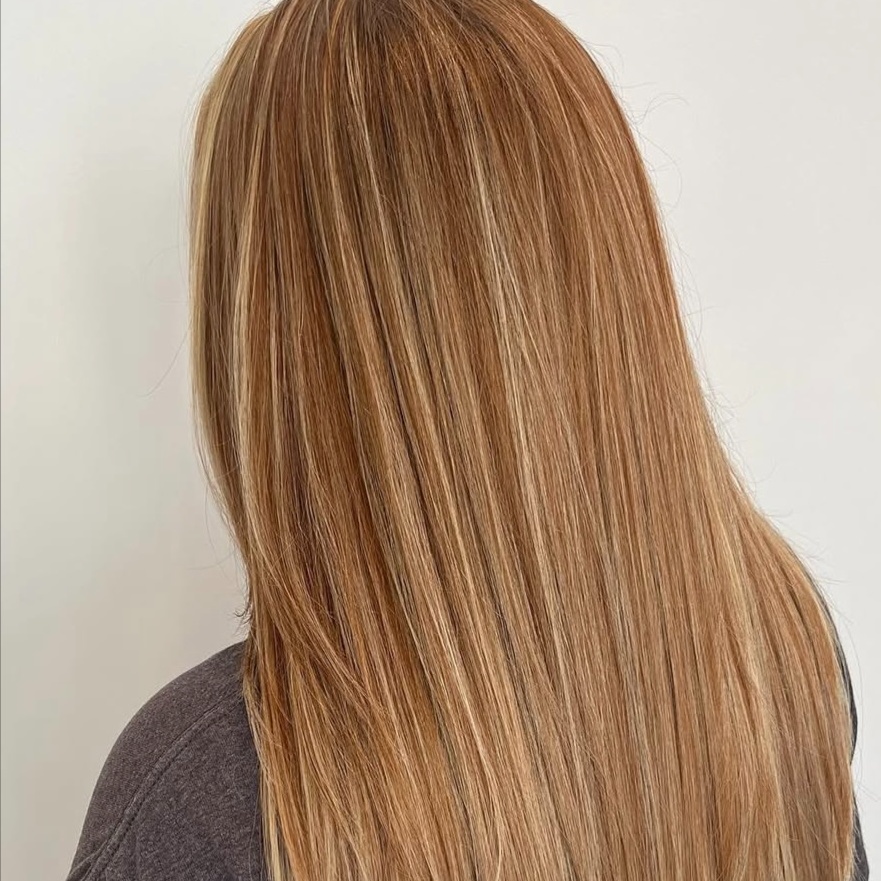 Dry Cut at Sante Salon in Williston, VT