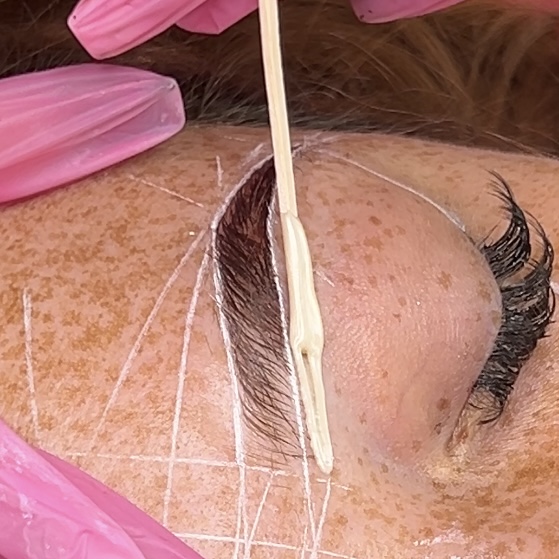 Brow Wax + Hybrid Tint + Mapping