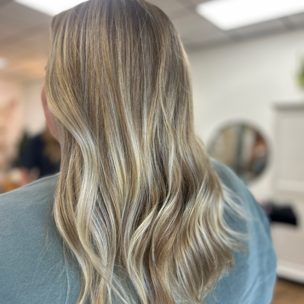 Rooted Full Highlight at Whitney Johnson in Port Charlotte, FL