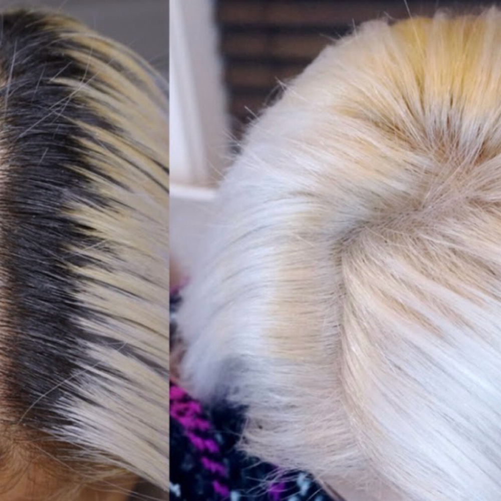 root touch up (bleach) at Belle House Salon & Aesthetics in Nashville, TN