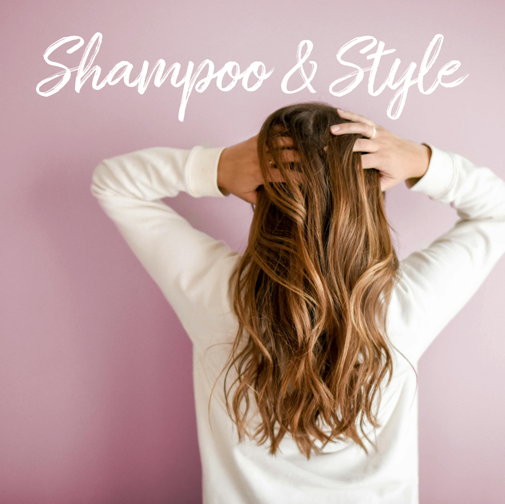 Shampoo & Style