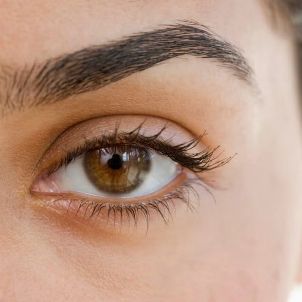 Brow Tint at Jennifer Lauren Esthetics in Lexington, NC