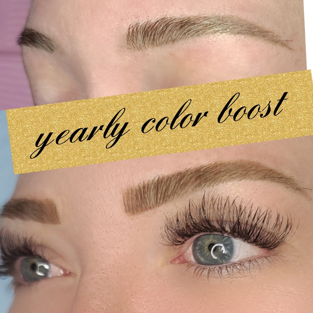 Yearly Color Boost(ExistingClients) at Iconic Brows By Ana in Reno, NV