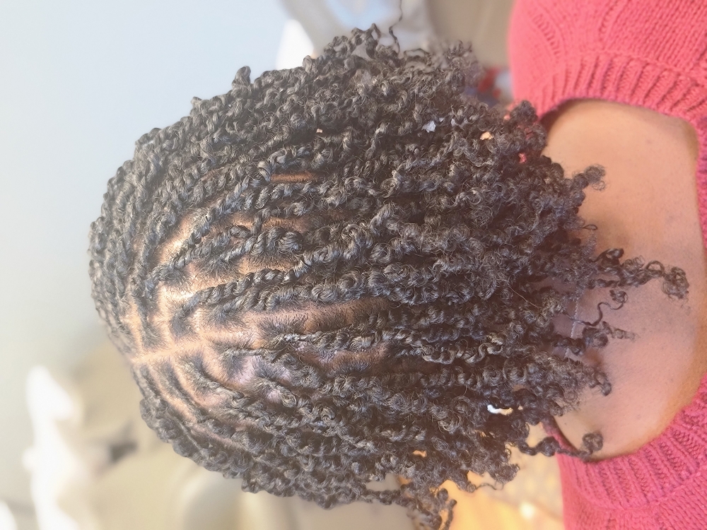 Traditional Starter Locs