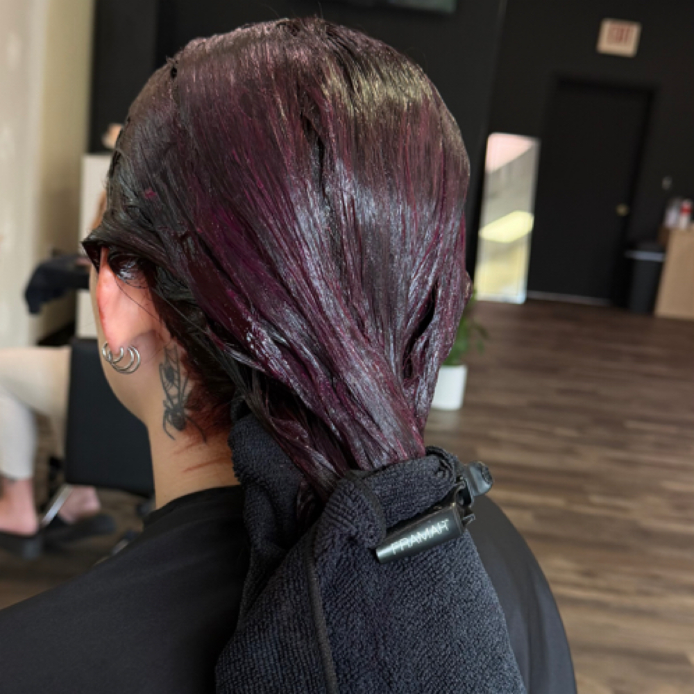 All Over Color at Hair By Nicole Orso in Schenectady, NY