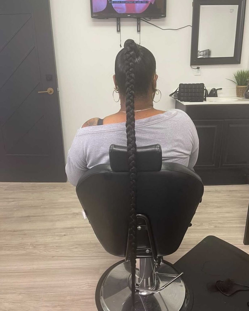 Slayed  Black Braided Ponytail