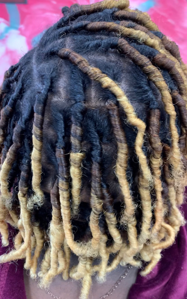 Starter Locs medium sections