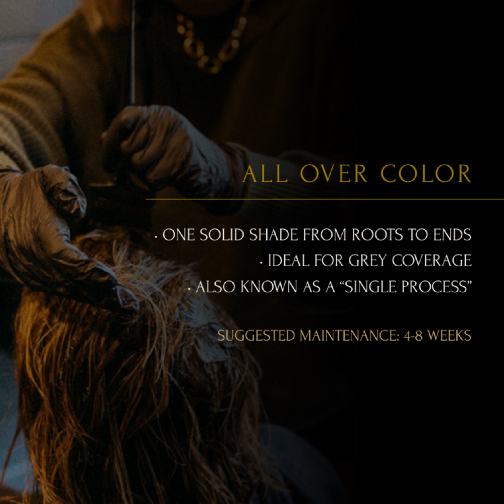 All Over Color at The Mill Hair Studio in Huntington, NY