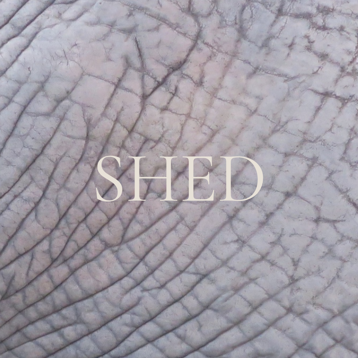 Alchemy | SHED