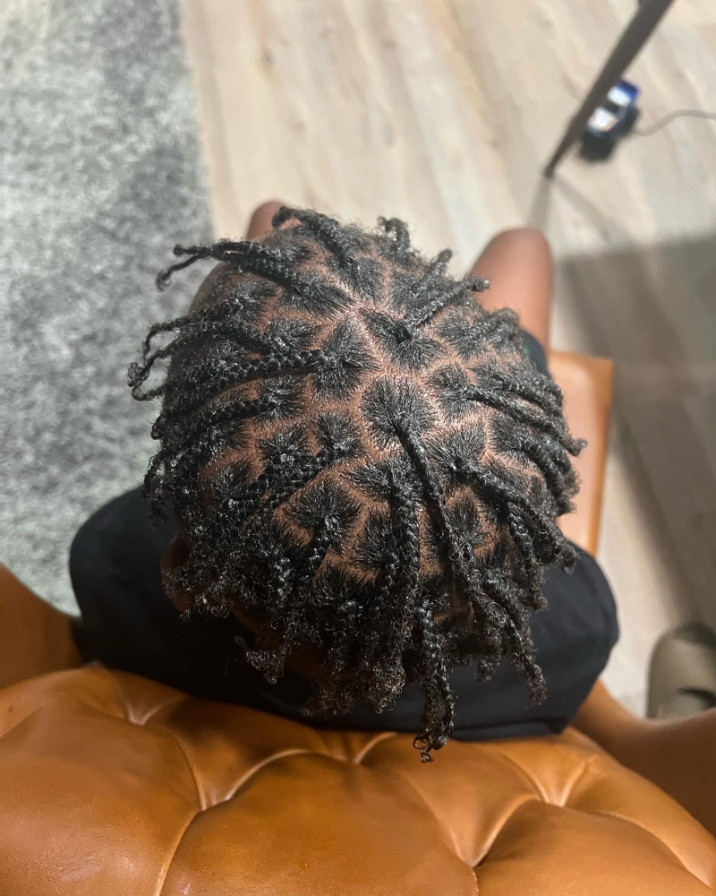 Natural Kids Braids/Twists
