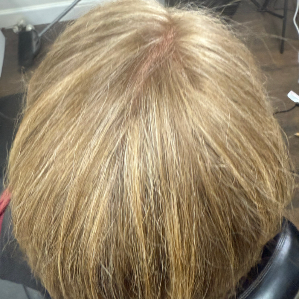 Hair Root Touch-up at Bei capelli salon in Greensboro, NC