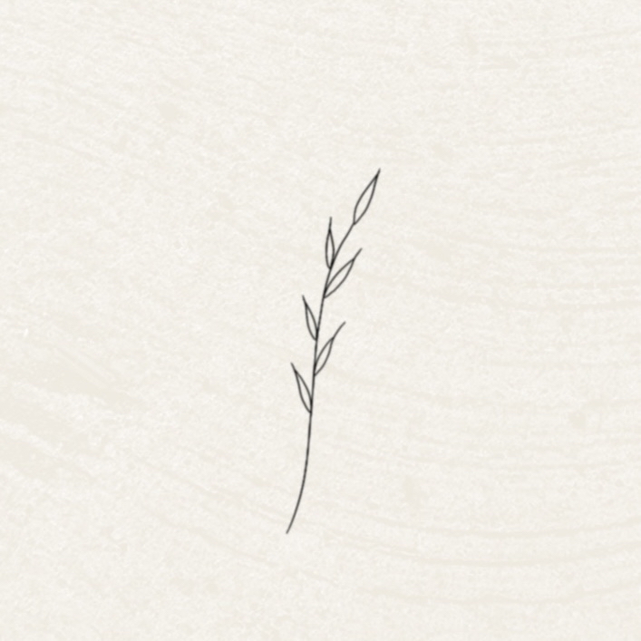 Vine