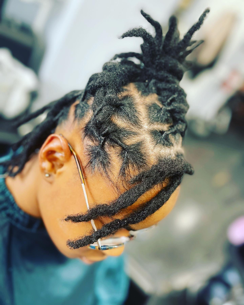 Basic Style Locs