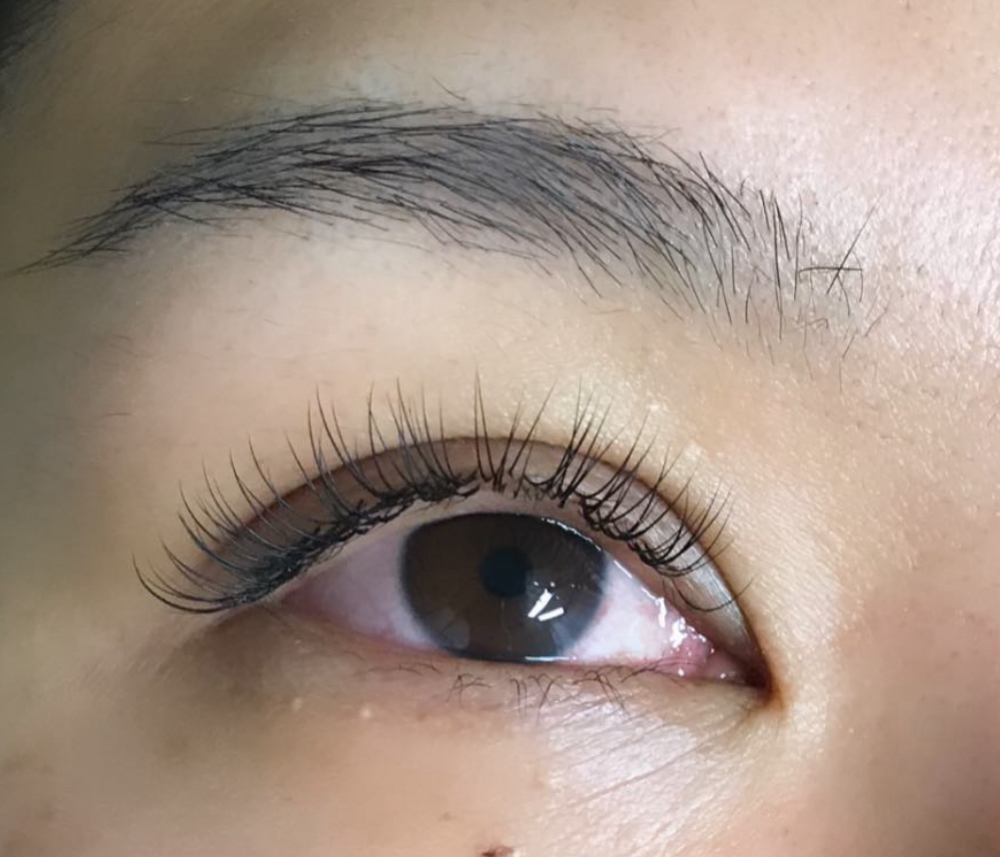 Classic lash fill
