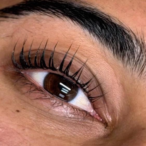 Korean Lash Lift + Tint at Velour Skin Bar in Santa Clara, CA