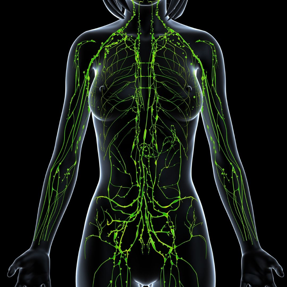 Manual Lymphatic Drainage