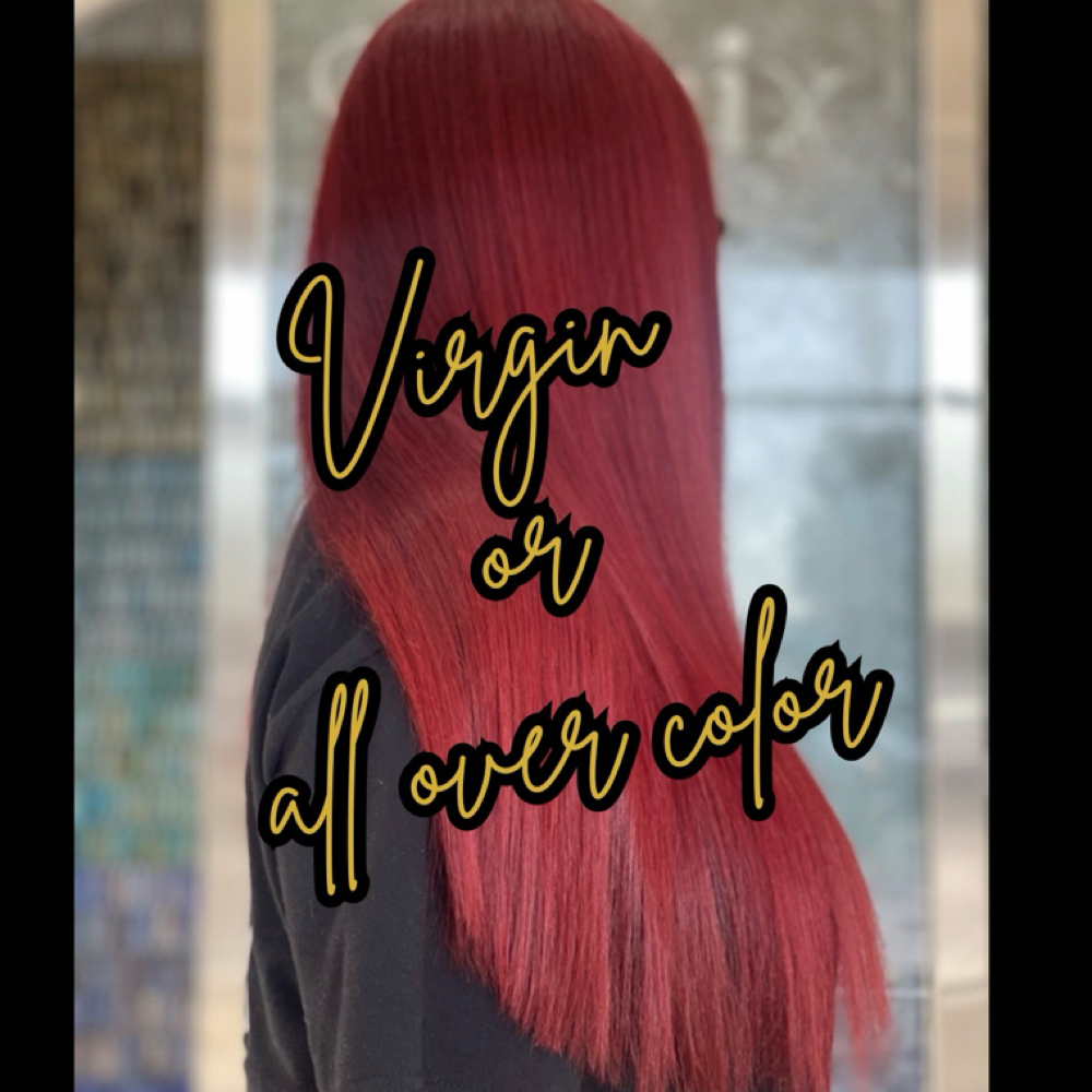 Virgin/ All Over Hair Color at Luxe Studio By Gina in Moorestown, NJ