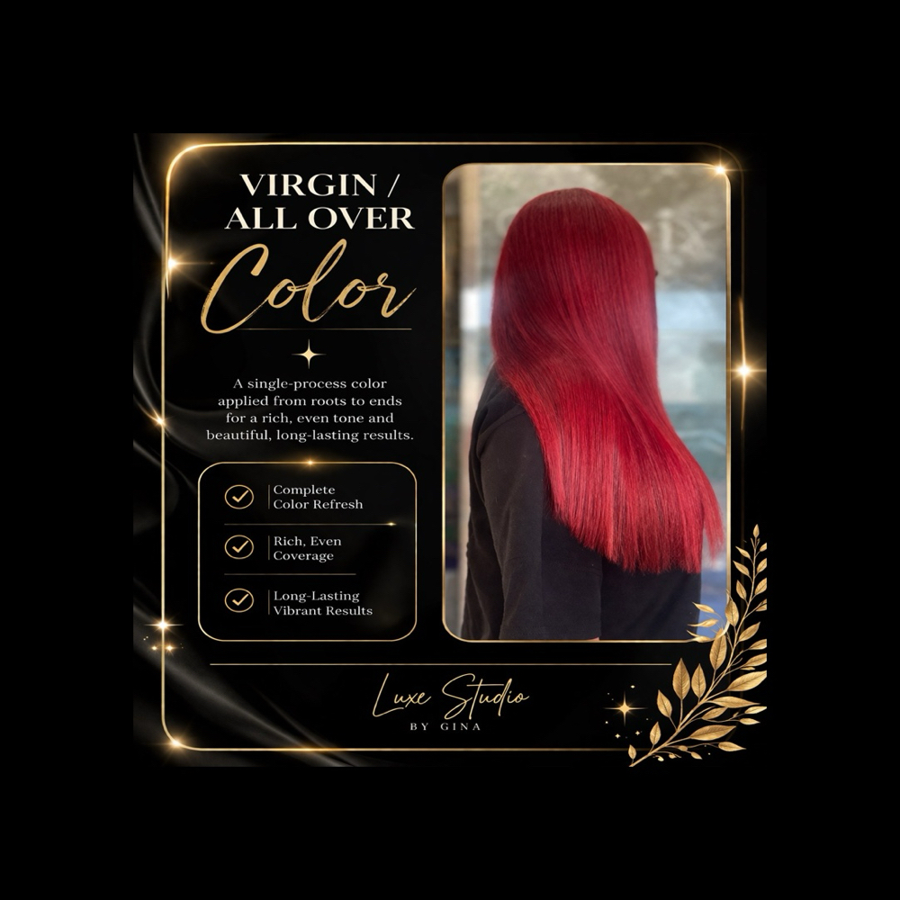 Virgin/ All Over Hair Color at Luxe Studio By Gina in Moorestown, NJ