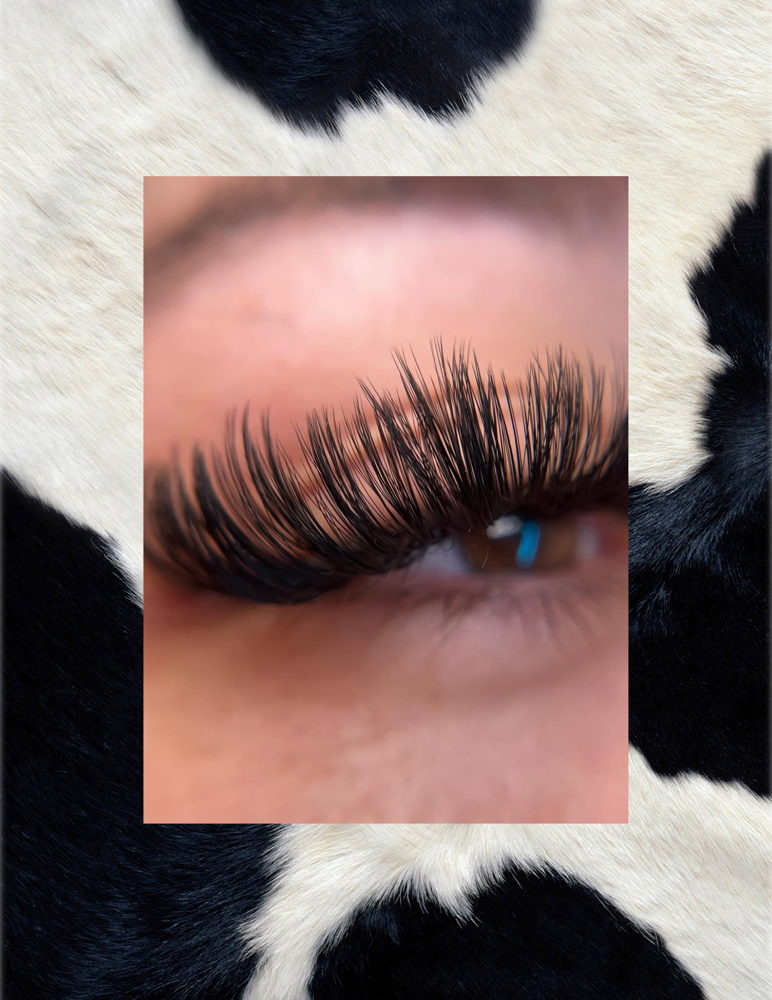 Volume Full Set at MadMakBeauty in Tempe, AZ
