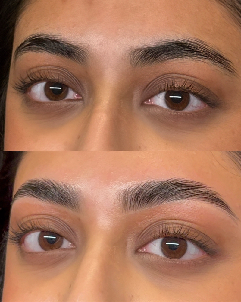 Eyebrow Lamination at Nikki Lee Esthetics in Pearland, TX