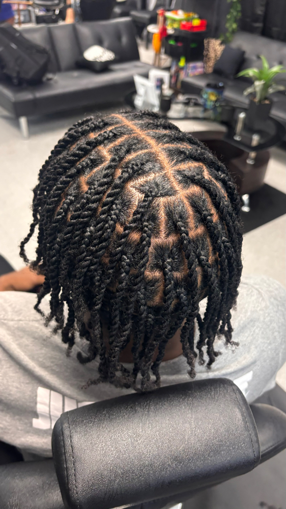 Two Strand Twist (NO LOCS)