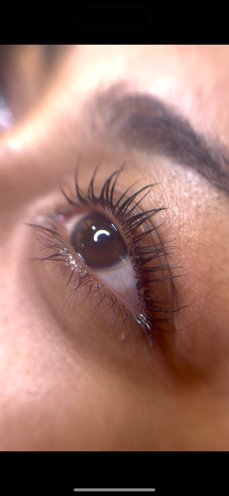 Lash Lift