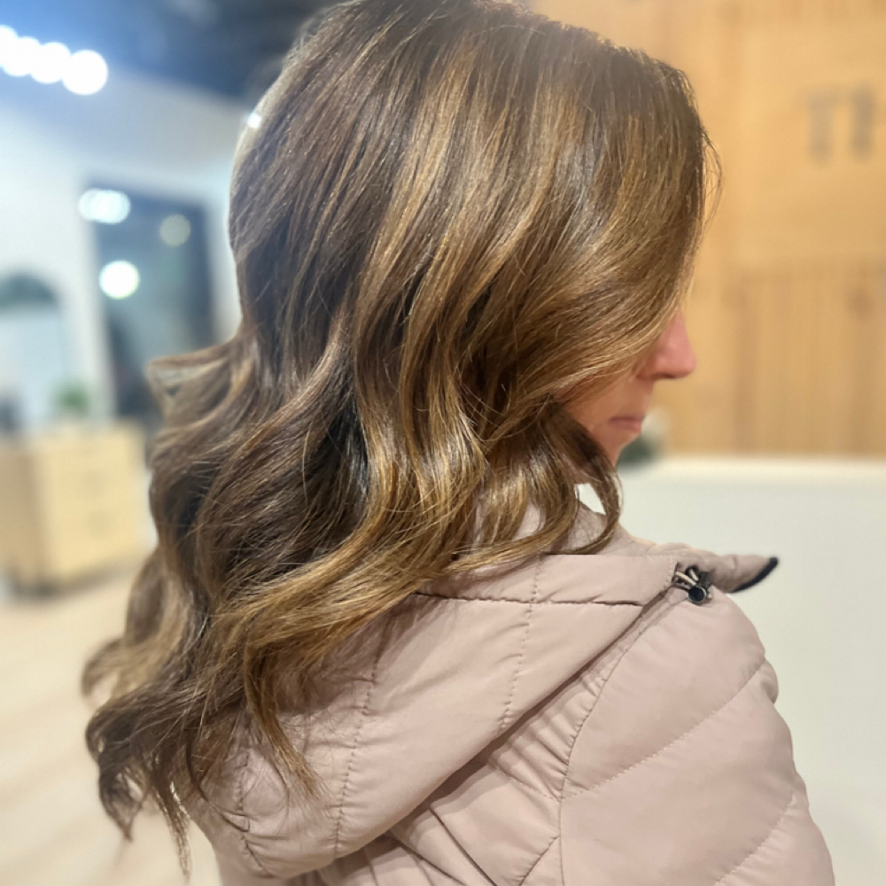 Color Refresh at Danie Cole in Lapeer, MI