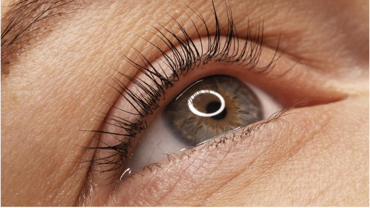 Lash lift and tint combo