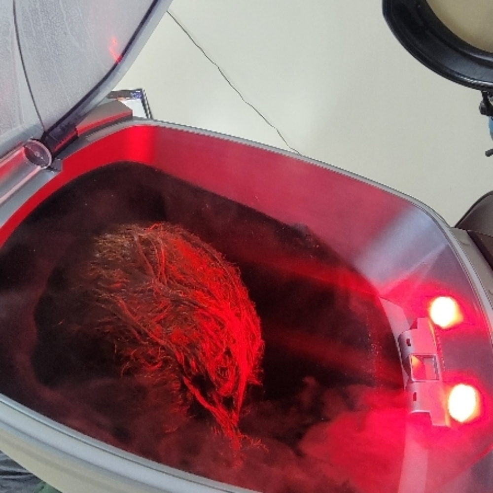 Steam Hydration Therapy at Creative Styles Hair Studio in Bowie, MD