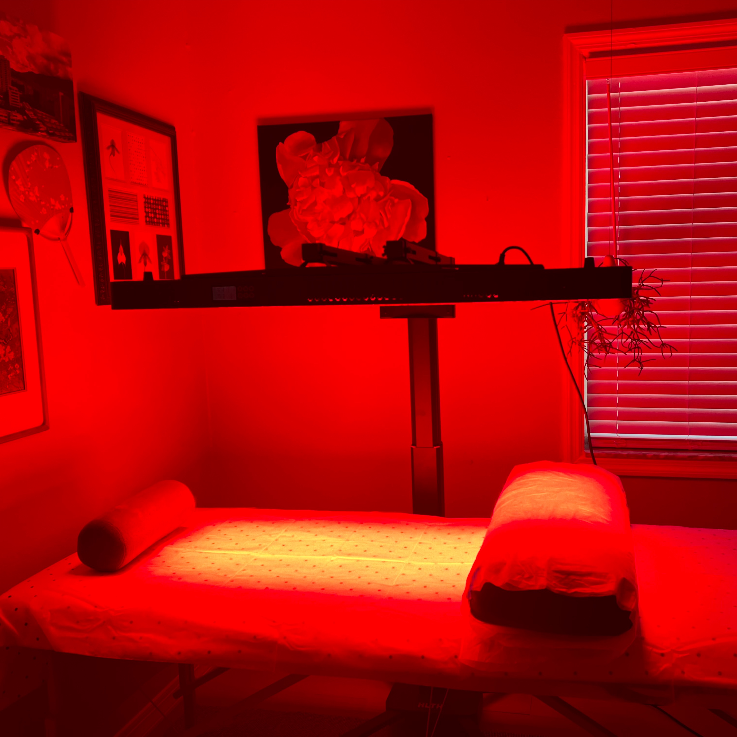 Red Light Therapy Session at Salon ZERO in Safety Harbor, FL