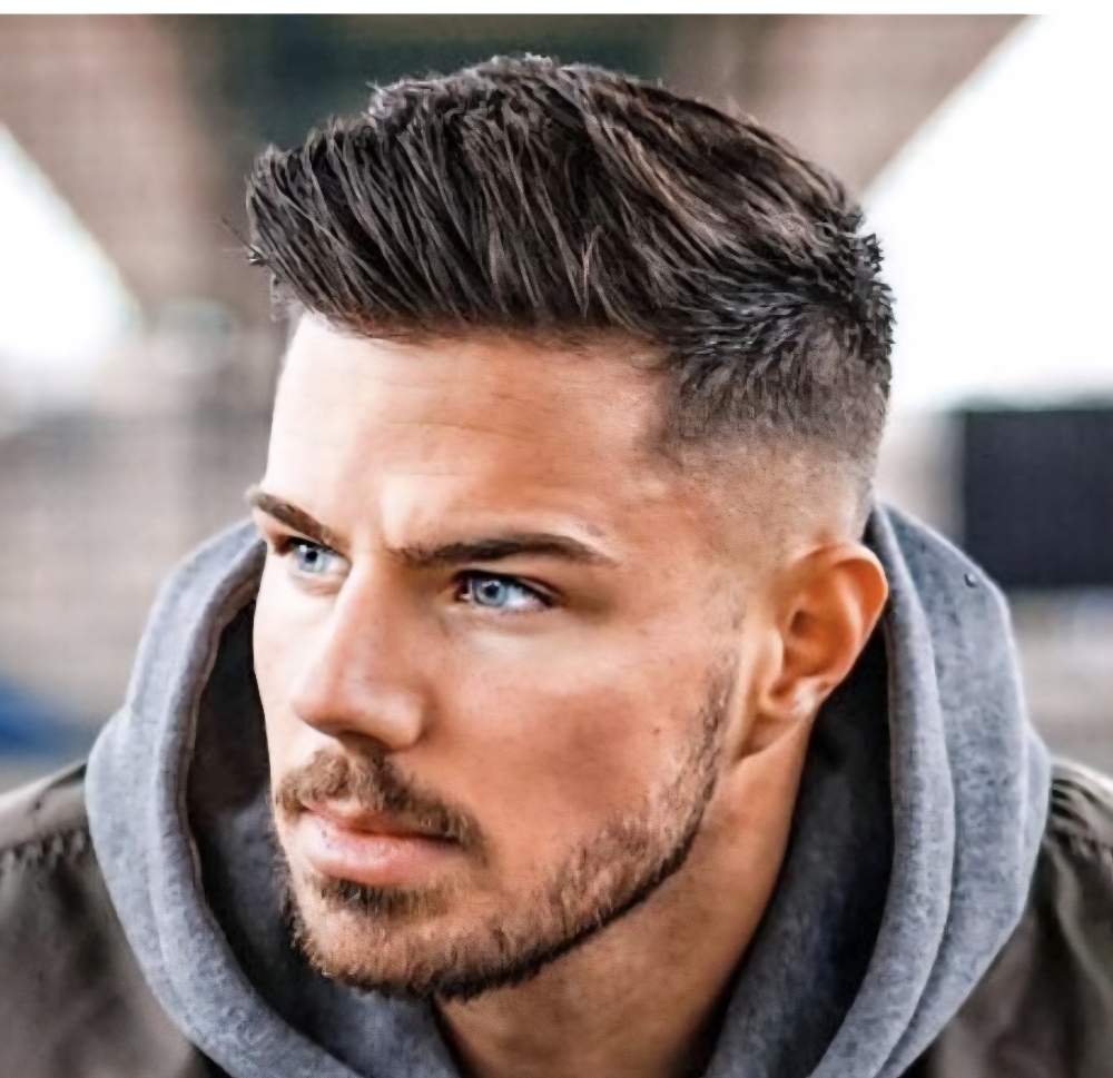 Specialty Clipper Cut