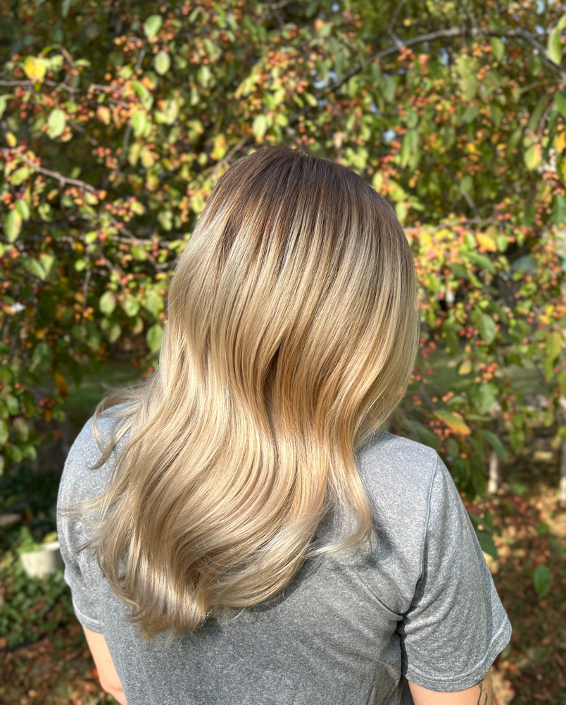 Toner/style at Hair X Renee in Lockport, NY