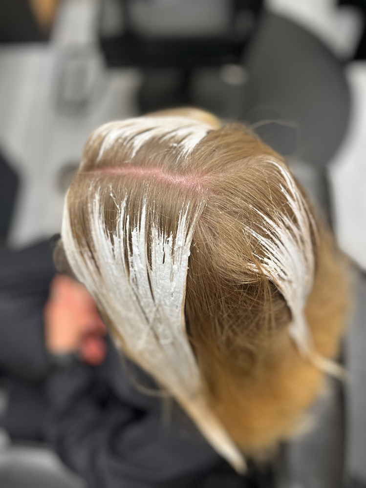 Mini Hand Painted Balayage