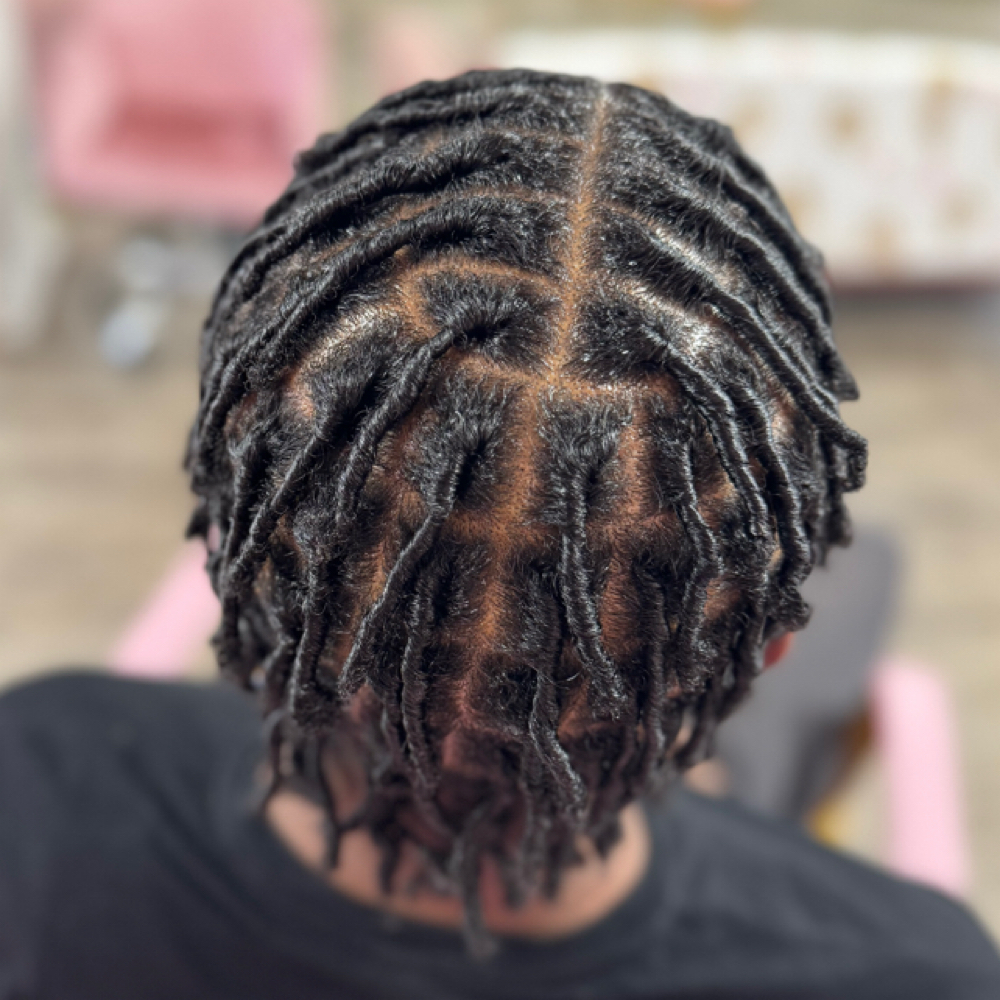 Adult Medium Coil Starter Locs at Dee Did’em in Kinston, NC