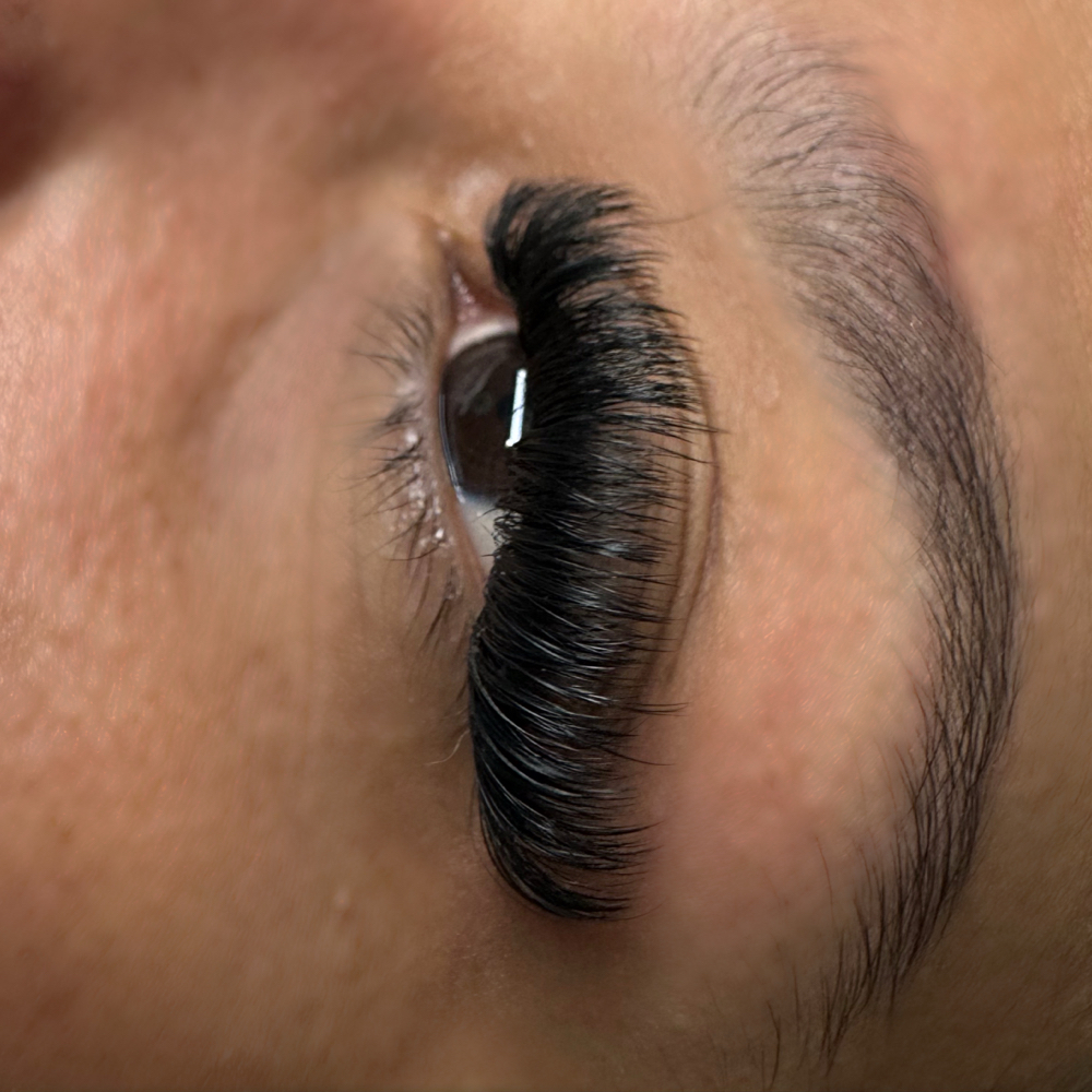 Volume lash extensions
