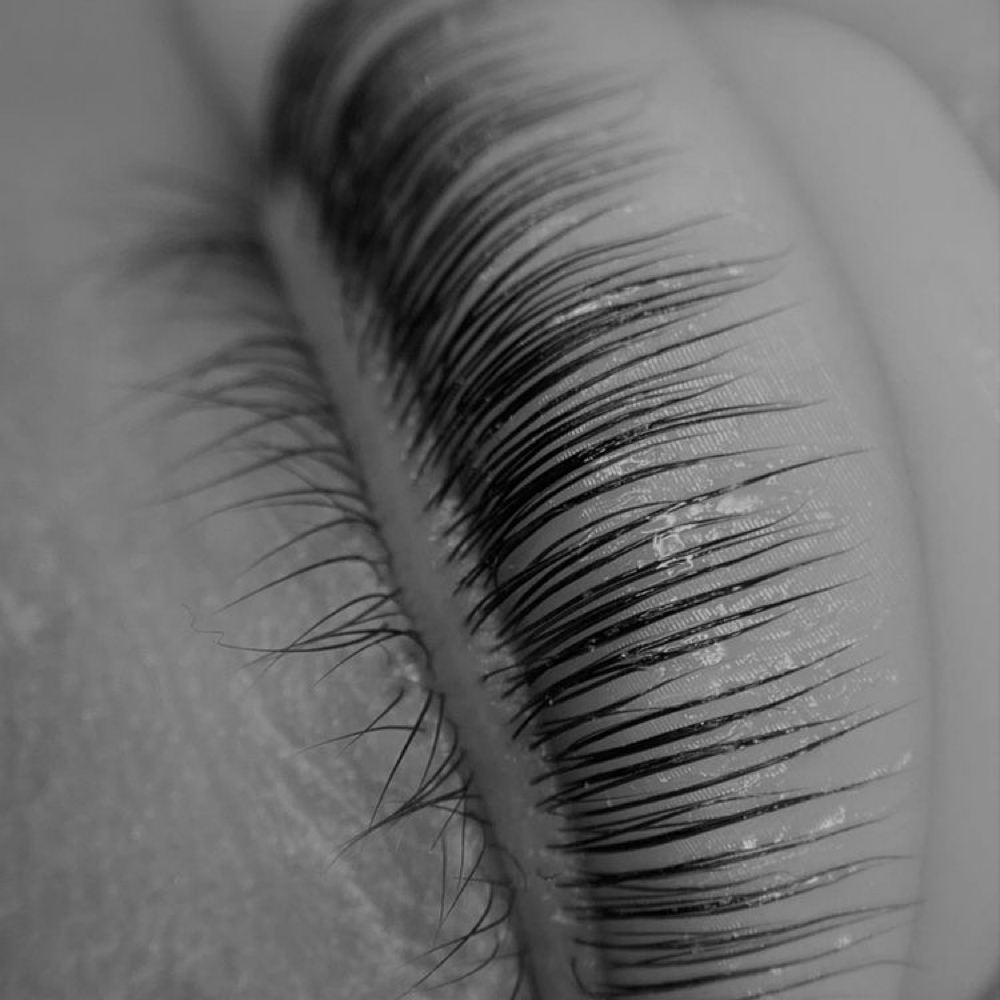 LASH LIFT SPECIAL at SALT Beauty Co in Newport Beach, CA